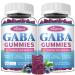 2 Pack GABA Gummies for Adults, Relaxation, Zzz & Mood Sugar-Free Calm Gummies with L-Theanine, 5-HTP, Vitamin D3 Natural Zzz Support, GABA Supplements for Kids, 120 Count Blueberry 60 Count (Pack of 2)