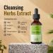 HERBAMAMA Liver Cleanse & Repair Liquid Drops - Herbal Supplement w/ Dandelion & Milk Thistle for Liver Detox - 2 fl. Oz Bottle - Buy Online on GoSupps.com