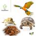 UGF Juicy Preserved Mealworms 140g - Premium Bird Food Hedgehog & Squirrel Treats Year-Round Nutrition - Buy Online on GoSupps.com