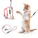 Tiesome cat dishes with a leash and collar set adjustable kitten dishes with a color gradient breakout dishes with a leash for kittens on a walk outdoors (orange and yellow) orange yellow