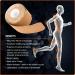 Care Science Waterproof Kinesiology Tape  Precut Water Resistant Strips  Elastic Athletic Tape for Sports & Weightlifting  Supports Muscles & Joints  Muscle Strain Relief  Tan  2 Rolls  40 Count - Buy Online on GoSupps.com