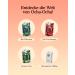 Organic Sugar-Free Mate Tea - Zero Calories - Ready to Drink - 4x200ml Caffeinated - Freshly Brewed & Fair Trade - Buy Online on GoSupps.com