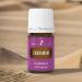 Cardamom 5 ml by Young Living Essential Oils - Buy Online on GoSupps.com