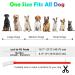 Buy Auauy LED Light Neck Band for Dogs & Cats - USB Rechargeable Adjustable Waterproof 4 Modes (Red) | Safe Silicone Collar for Pet Safety - Buy Online on GoSupps.com