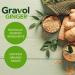 Gravol Ginger Tablets - Natural Relief for Upset Stomach & Nausea - 20ct - Buy Online on GoSupps.com