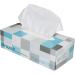 Soft & Absorbent Tissue Towels - High White 2-Layer Extra Soft Perfume-Free | Ideal for Hotels Clinics Labs | 3750 Towels in 25 Trendy Decor Boxes - Buy Online on GoSupps.com