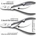 Marqus 7-Piece Manicure Set for Men & Women - Solingen Quality Nail Care with Tongs - Stylish Synthetic Leather Case - Made in Germany - Buy Online on GoSupps.com