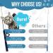 Interactive Cat Toys Set - Feather Toy, Cat Chaser, Cat Teaser - 4 PCS Fishing Rod Kit for Indoor Cats - Buy Online on GoSupps.com