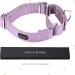 Mikivery Violet Martingale Dog Collar | Adjustable Safety Choke Training Collar for Medium & Large Dogs M 35.5cm-53cm - Buy Online on GoSupps.com
