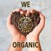 Organic Senna Tea - USDA & OU Kosher, 18 Bleach-Free Bags | Buddha Teas - Buy Online on GoSupps.com