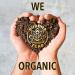 Buddha Teas Organic Ashwagandha Root Tea - USDA Organic, Kosher, 18 Bleach-Free Bags - Buy Online on GoSupps.com