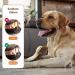 Iokheira Squeaking Dog Toys for Large Dogs | Cuddly Crinkle Toys for Puppies & Medium Dogs | Beige Brown Honeydachs - Buy Online on GoSupps.com
