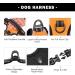 PHOEPET Reflective No Pull Dog Harness with Training Handle - Adjustable & Easy to Put on - Medium Orange - Buy Online on GoSupps.com