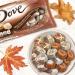 DOVE PROMISES White Chocolate Pumpkin PieÂ Chocolate Candy Â 7.94oz - Buy Online on GoSupps.com