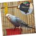 DOITOOL 2pcs Set Birdcage Brush Scoop Shovel Parrot Cage Accessory Parrot Cage Shovel Pet 7x9cm Assorted Color - Buy Online on GoSupps.com