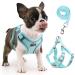 Rennaio dog harness no pull adjustable puppy dishes with 2 linen clips Ultra breathable padded chest harness and leash set for small and medium-sized dogs (cyan s) cyan s