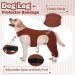 Buy Hjyokuso Recovery Suit for Dogs - XS Brown Surgery & Licking Protection Sleeves | Ideal for Leg & Elbow Recovery - Buy Online on GoSupps.com