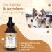 Belly De-Fuzzing Spray for Dogs - 250ml Aloe Vera Fur Care | Softens & Removes Fur for All Breeds - Buy Online on GoSupps.com