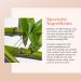 Erborian Bamboo Cr me Frappe Moisturizer Hydrating & Soothing Cream for Dehydrated Skin | Korean Skincare | 1.7 Oz - Buy Online on GoSupps.com