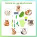 MIAOZ Rabbit Care Set with Nail Clippers and Trimmer Pet Hair Remover Long and File Flea Comb Shampoo Bath Brush for Rabbits Puppies Kittens Guinea Pigs Ferrets Small Animals (Green) - Buy Online on GoSupps.com