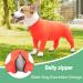 Etdane One-Divider for Dogs - Surgical Recovery Suit Anti-Hair Loss Long-Sleeved Cozy Pile Suit for Male & Female Dogs Size S - Orange - Buy Online on GoSupps.com