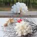 Buy Besimplle 2-Piece Artificial Coral Ornaments - Aquarium Resin Coral Decor & Underwater Sea Plants for Stunning Decor - Buy Online on GoSupps.com