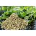 Buy Malinowe Oregano 60g - Dried & Shredded Oregano for International Shipping | Premium Quality Herbs - Buy Online on GoSupps.com
