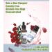 30ml Travel Size Rose & Jojoba Essential Oil Set Floral Fragrance for Candle DIY Aromatherapy Diffuser & Perfume | 1 Fl Oz (Pack of 2 - Buy Online on GoSupps.com
