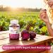 NUISM Organic Beet Root Gummies, Mixed Berry Flavor Supplements,Natural Extract, 21:1 Concentrate, Sugar Free Chews, Energy, Vitality & Performance Support, Beetroot Gummies - Buy Online on GoSupps.com
