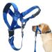 Barkeless dog half no pulling for small medium -sized and large dogs padded snout harness with training instructions - stop pulling and suffocating on the line m blue