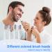 Replacement Toothbrush Heads for Philips Sonicare | Genuine Bristles Soft & Effective | 16 PCS Pack - Buy Online on GoSupps.com