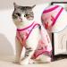 Clrybo Katzenbody - Professional Recovery Suit for Cats & Dogs | Anti-Trim Post-Surgery Clothing for Abdominal Wounds & Skin Conditions - Buy Online on GoSupps.com