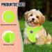 Slowton No Pull Dog Harness - Soft Padded & Breathable XS/S/M for Small Medium Dogs - Lime - Buy Online on GoSupps.com