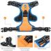 Phoepet 2019 Adjustable Reflective Dog Harness for Large Breeds - Easy On/Off Handle 2 Metal Rings - Orange (L: Neck 16-24 Chest 22-33) - Buy Online on GoSupps.com