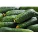 Cucamber"Pickle of Paris" - ideal for pickles - 70 seeds