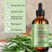 100% Natural Rosemary Oil for Hair Growth | 60ml Rosemary Oil for Scalp Aromatherapy & Massage - Buy Online on GoSupps.com