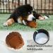 Laroo Dog Toys - Durable Squeaker Dog Ball for Small & Large Dogs | Natural Rubber Football Perfect for Playtime! - Buy Online on GoSupps.com
