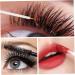 10ml Empty Mascara Tube and Wand with Lip Gloss Tubes and Empty Eyeliner Tube Portable Clear Refillable Makeup Container Tube for Travel - Buy Online on GoSupps.com