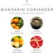 Thymes Large Mandarin Coriander Candle - 16 Oz Scented Candle for Fresh Home Fragrance - Premium Colored Glass Jar - Buy Online on GoSupps.com