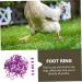 BUGUUYO 100pcs Chicken Leg Ring Chicken Thigh Poultry Identification Ring Chicken Drumsticks Plastic Purple - Buy Online on GoSupps.com