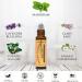 Calming Essential Oil Blend Roll On 10ml - Ready to Use for Grounding Relaxation | Natural Aromatherapy Roller - Buy Online on GoSupps.com