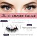 Buy Premium 3D Magnetic Lashes with Eyeliner - Reusable Natural Look Eyelash Kit | 2 Pairs with Tweezers - NATURA B0BJ35LSR7 - Buy Online on GoSupps.com