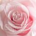 Caswell-Massey Rose Perfume Classic Floral Scent Luxurious & Long-Lasting Fragrance for Women Full Size Perfume for Women 2 Fl Oz Rose 2 Fl Oz (Pack of 1) - Buy Online on GoSupps.com