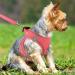 Joyal Dog Harness for Small Dogs - Reflective Soft Padded Air-Mesh Breast Dishes for Puppies | Pink S (38-42cm) - Buy Online on GoSupps.com