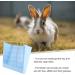 TEHAUX Rabbit Hay Pet Feeding Rack Large Capacity Hay Storage Holder Cage Tool for Rabbit Chinchilla Guinea Pig or Other Small Animals Rabbit Feeder - Buy Online on GoSupps.com