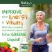 Naka Vital Greens Essential Green Nutrients Featuring Chlorophyll Aloe Vera Ginseng Ginkgo Biloba Super Food Complex and 15 Vegetable Juice Extract Mint Flavour Made in Canada (900ml) - Buy Online on GoSupps.com