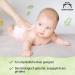 Mama Bear Fresh Baby Wipes - Aloe Vera 336 Count (6 Packs) | Amazon Brand Eco-Friendly & Gentle for Baby's Skin - International Shipping Available - Buy Online on GoSupps.com