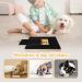 Shudyear Dog Nail Scratch Board File Wooden Dog Nail File Board with Built-in Snack Box Sandpaper Puppy Nail Grinding Pad Sturdy Dog Paws Scratchboard for Pets Nail Care - Buy Online on GoSupps.com