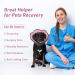 IECoii Large Dog Cone - Protective Collar for Post-Op & Castration Recovery | Breathable Dog Collar for Golden Retrievers & Labradors - Rosa XL - Buy Online on GoSupps.com
