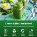 Super Greens Powder Premium Superfood | Organic Green Veggie Whole Foods with Antioxidants, Digestive Enzymes & Probiotics | Vegan Juice Supplement - Buy Online on GoSupps.com